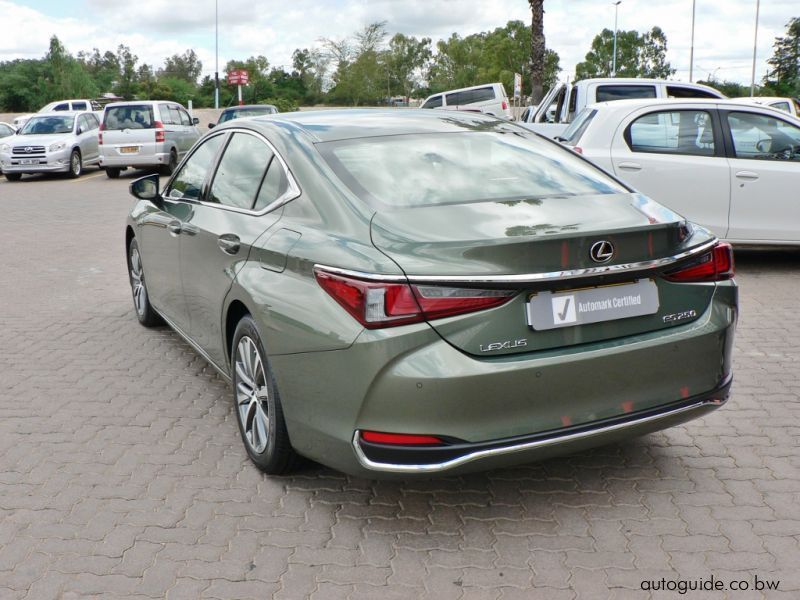 2020 Lexus ES 250 EX for sale | 500 Km | Automatic transmission - Motor ...