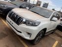 2019 Toyota land cruiser prado tzg