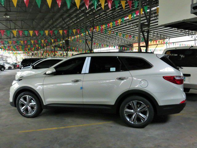 Hyundai max cruise