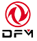 DFM Logo