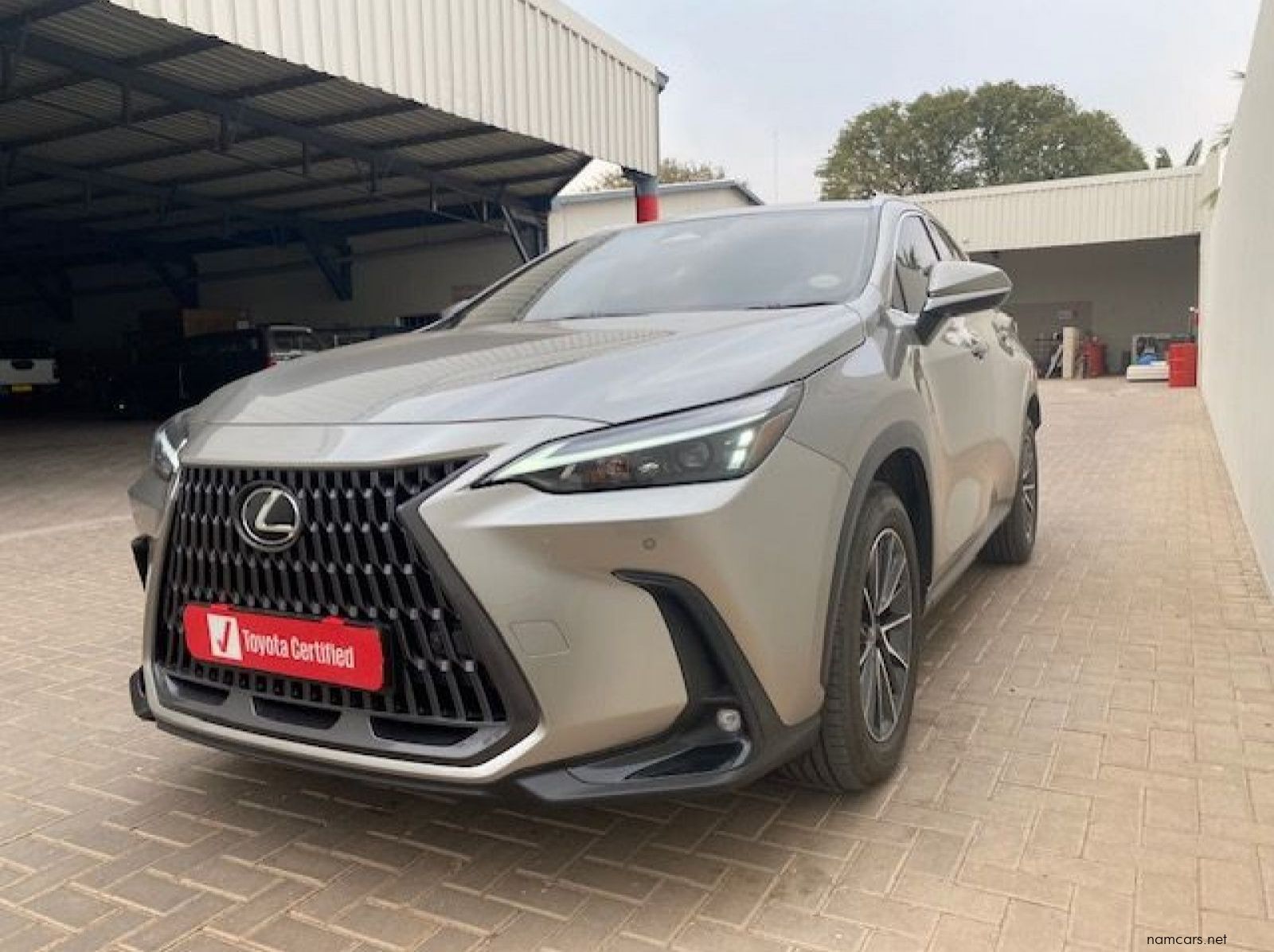 2025 Lexus Nx 350h Ex hybrid pictures