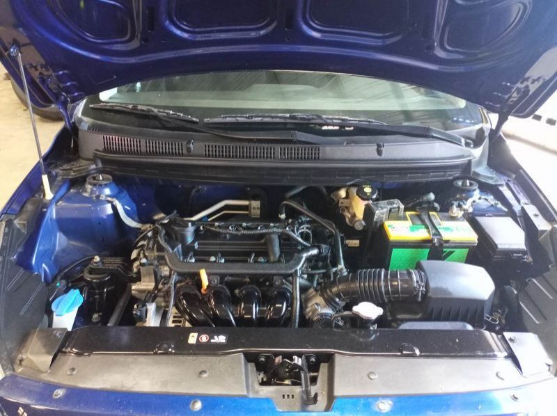 2019 Hyundai Reina pictures