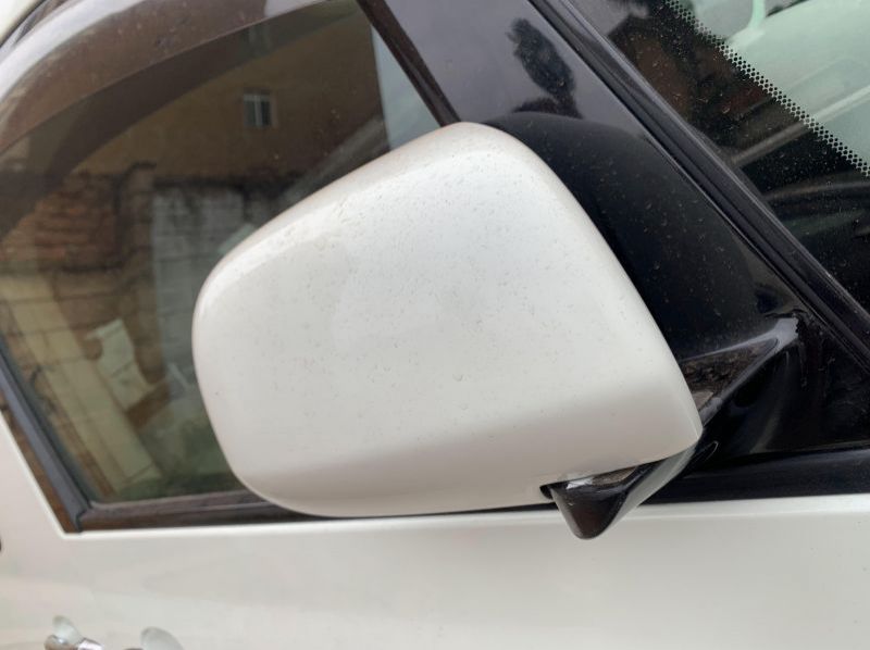 2007 Toyota Alphard pictures