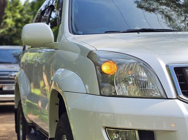 2008 Toyota  prado tx pictures